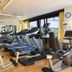 Palestra