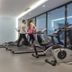 Palestra