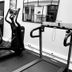 Palestra