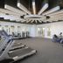 Palestra