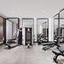 Palestra