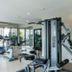 Palestra