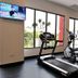 Palestra