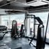 Palestra