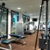 Palestra
