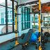 Palestra