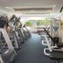 Palestra