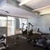 Palestra