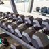Palestra