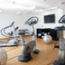 Palestra