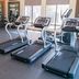 Palestra