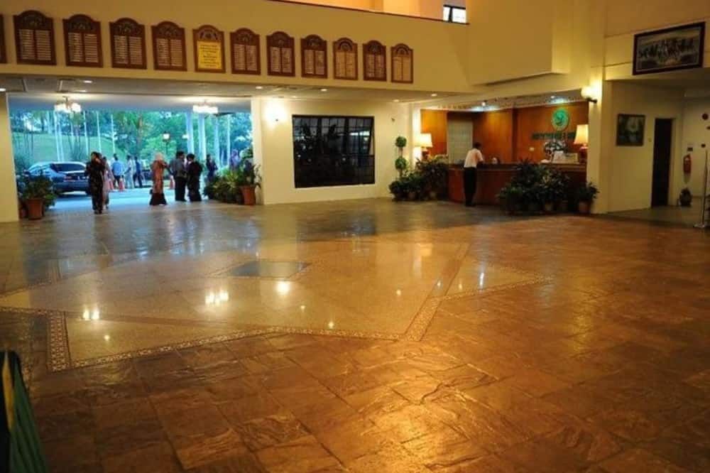 Ingresso