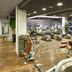 Palestra
