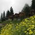 Vista esterna