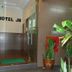 Ingresso