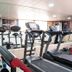 Palestra
