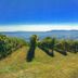 Vista esterna