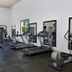 Palestra