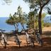 Altro