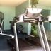 Palestra