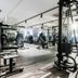 Palestra