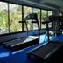 Palestra