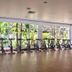 Palestra