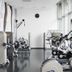 Palestra