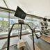 Palestra