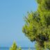 Vista esterna