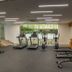 Palestra