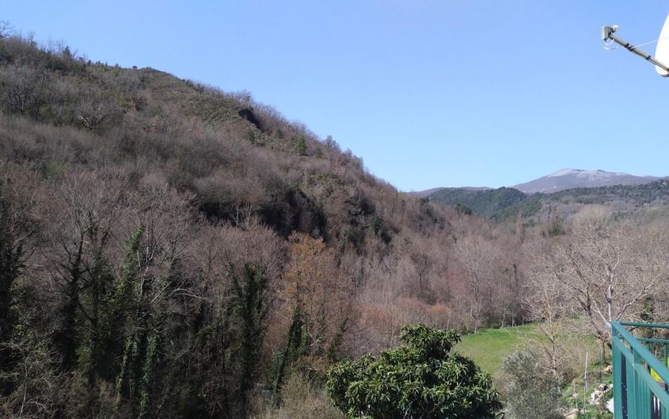 Altro Foto