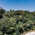 Vista esterna