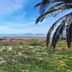 Vista esterna