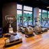 Palestra