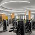 Palestra