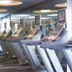 Palestra