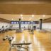 Palestra