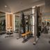 Palestra