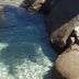 Altro
