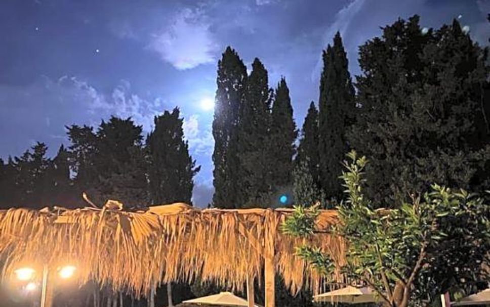 Altro Foto
