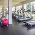 Palestra