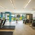 Palestra