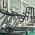 Palestra