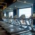 Palestra