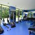 Palestra