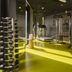 Palestra