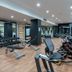 Palestra