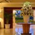 Ingresso