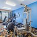 Palestra